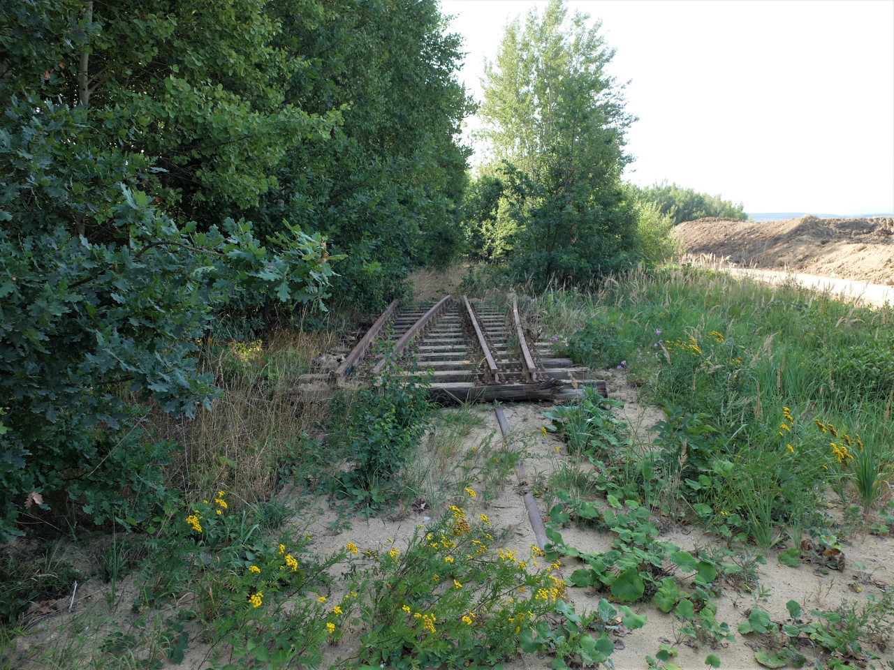 odloen kus - pohled zpt