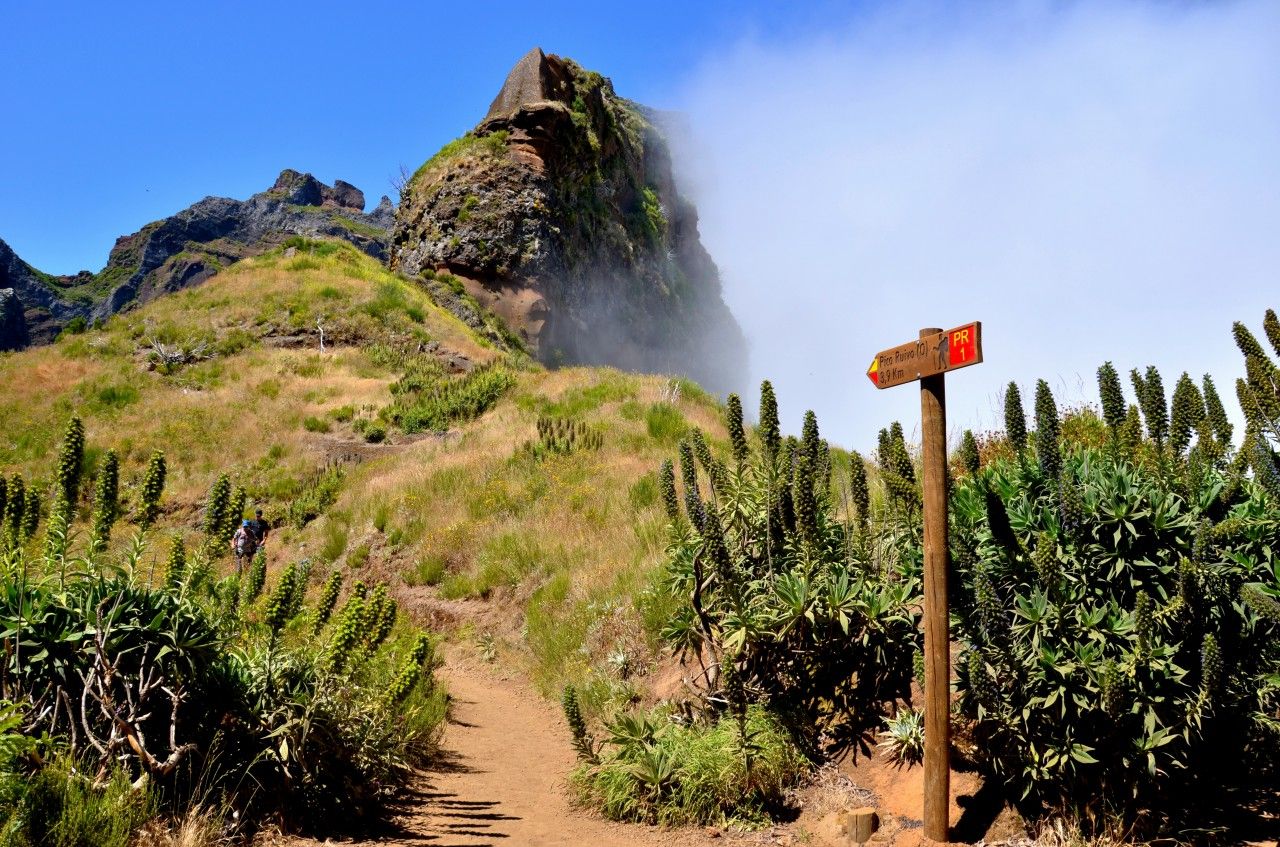 Stezka na nejvy horu Madeiry - Pico Ruivo