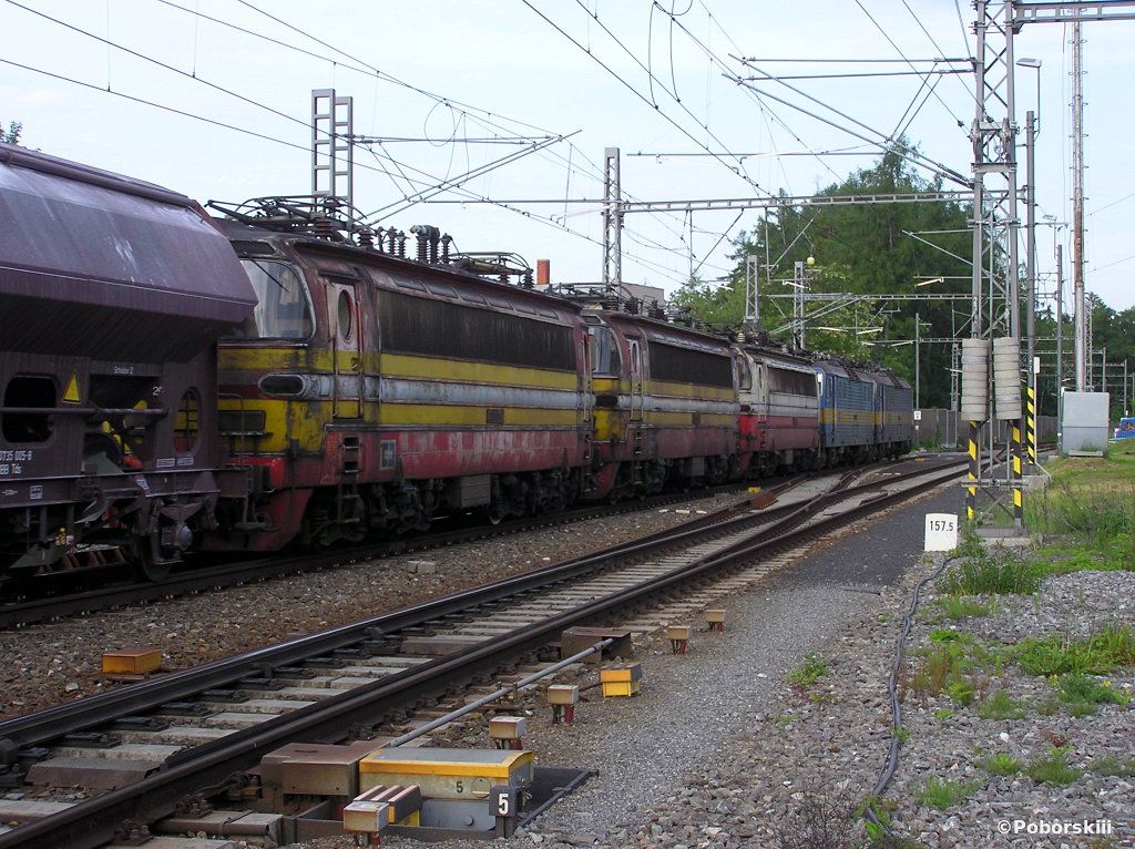 66801, Stranice, 20.5.2009