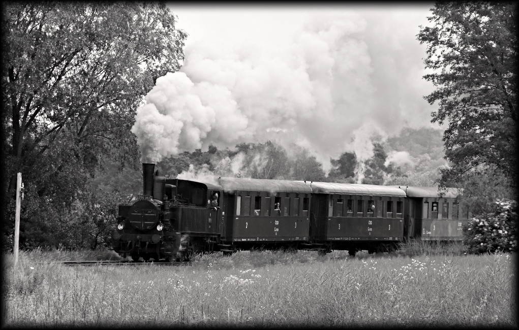 314.303, eleovice-Zdounky, 19.5.2018