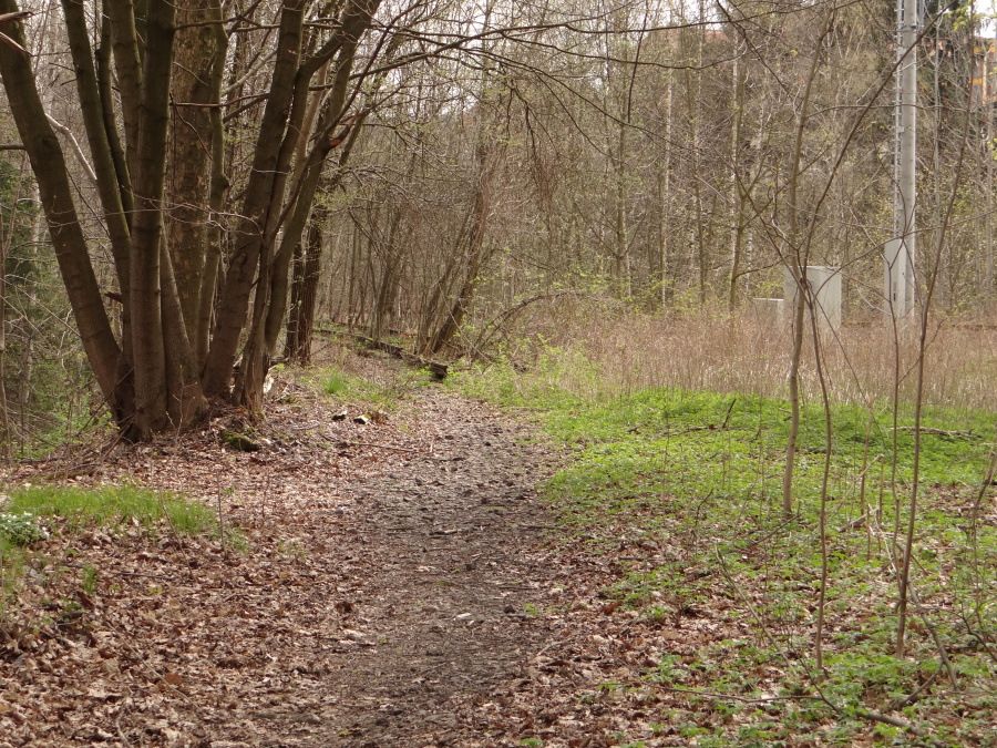 Pohled na druhou stranu, v pozad je vidt nmeckou tra Sebnitz-Neustadt