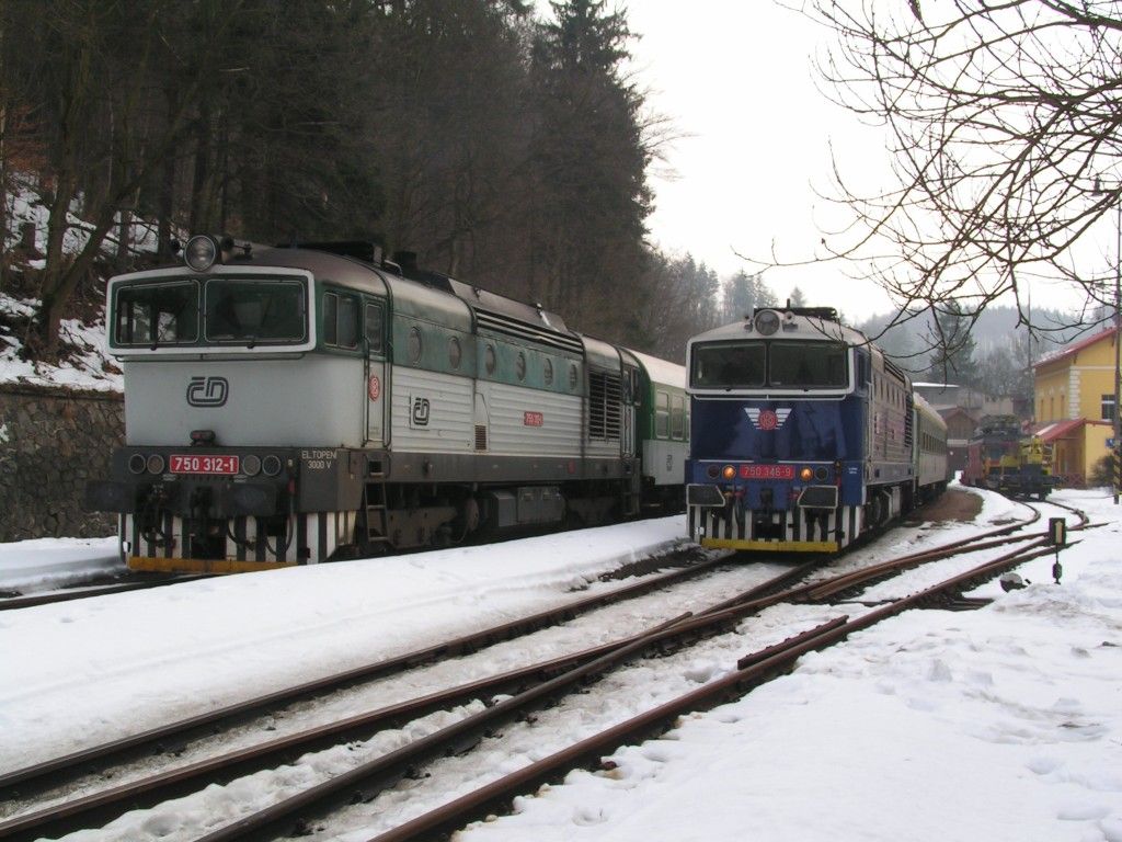 750.312 a 750.346 Litice 3.3.09