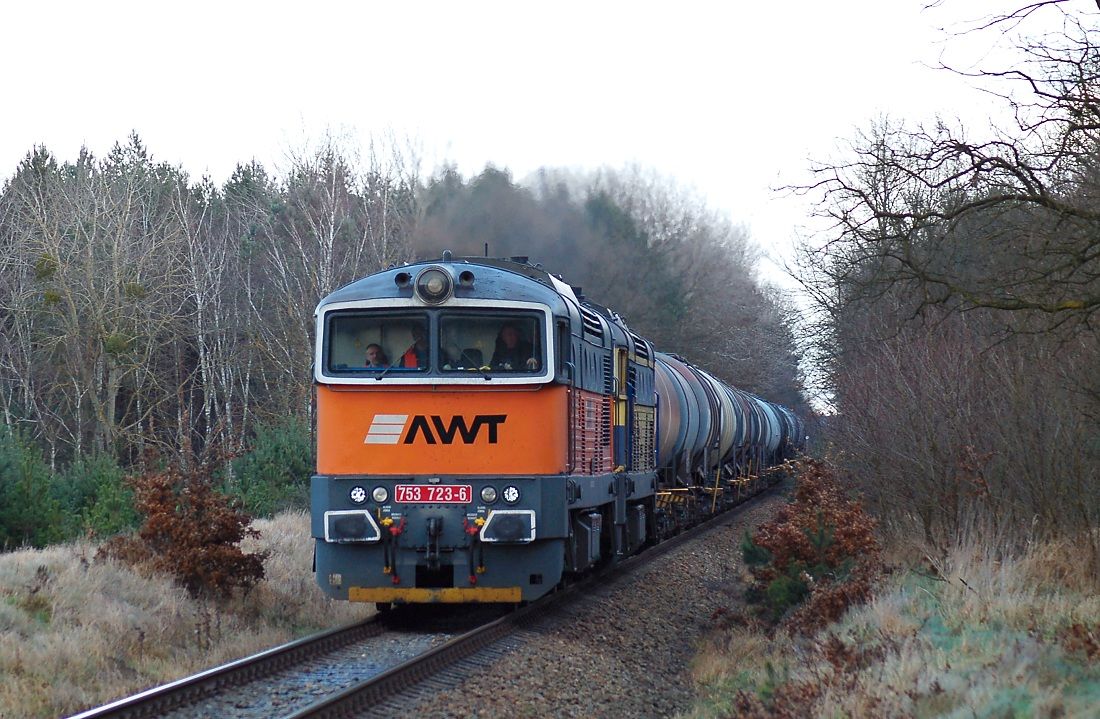 753.723+733 Bo les - Valtice-msto 4.1.2015