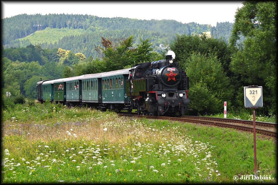 433.002, Janov - Hovz, 13.7.2013