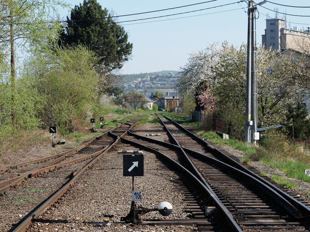 trebiovsk zhlav, pohled zpt