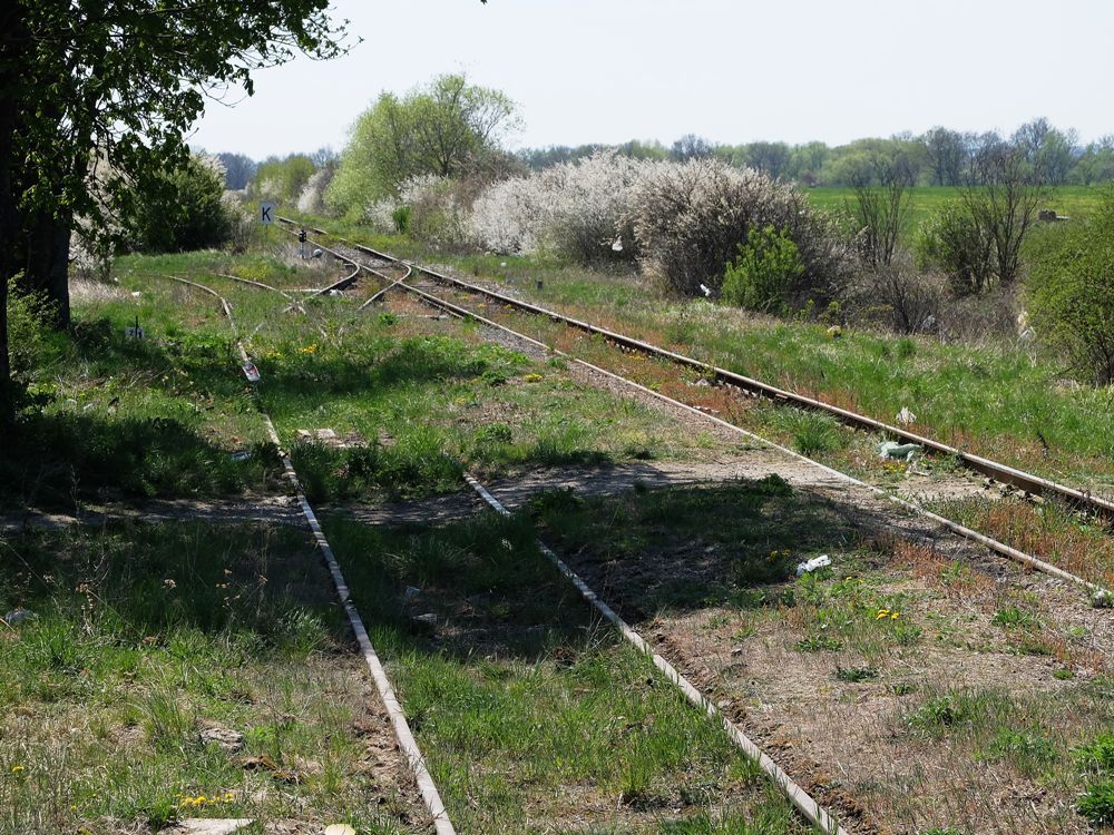 trebiovsk zhlav od budovy