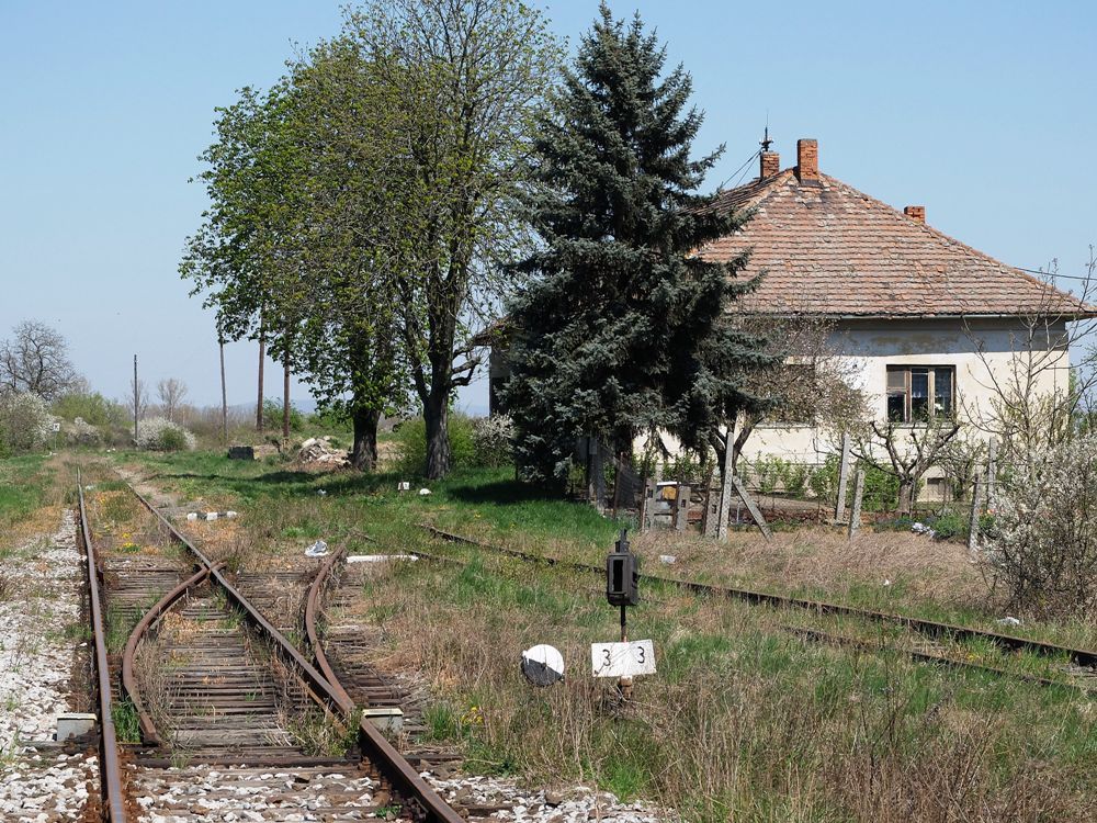 trebiovsk zhlav