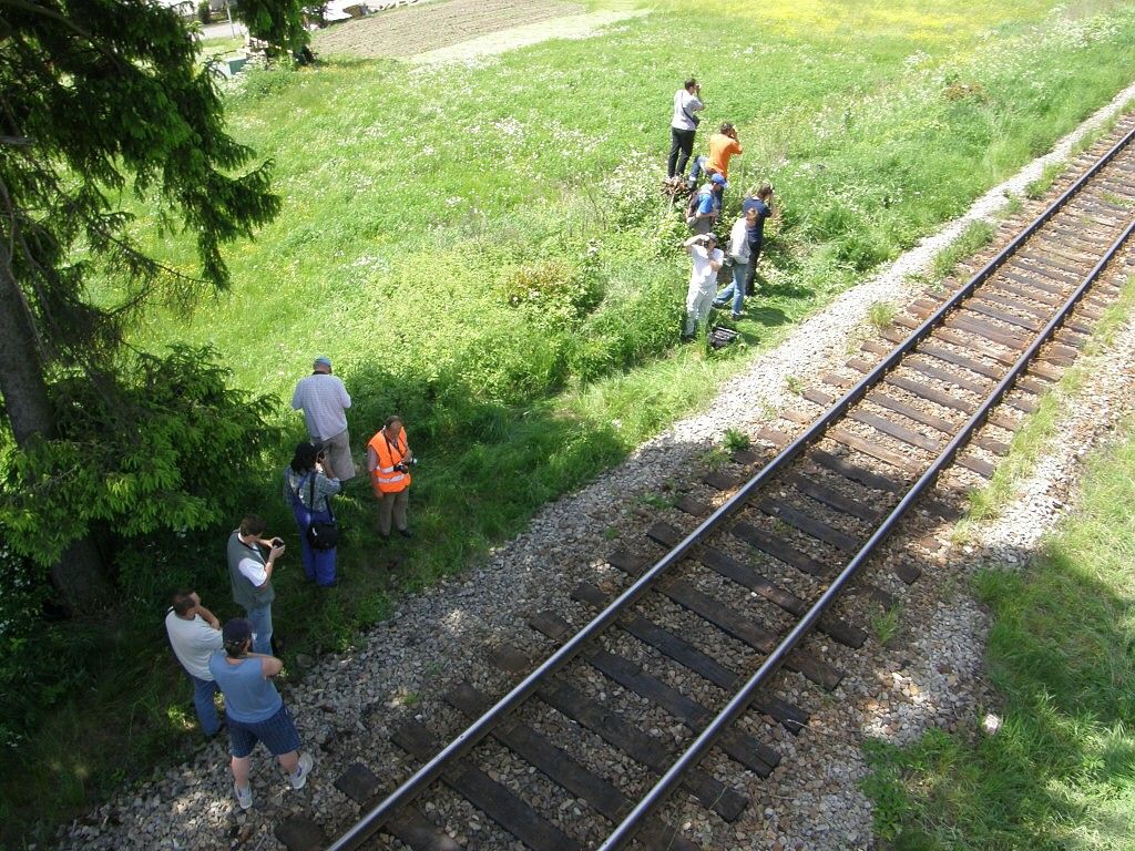 Vsadek otou u Kremnickch ban 30.5.2008 foto-M.ich