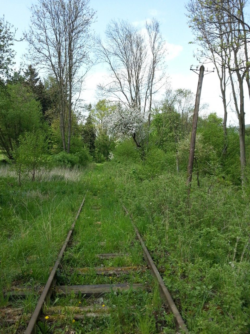 Bval tra piblin kilometr nad Zubrnicemi, pohled od Lovekovic