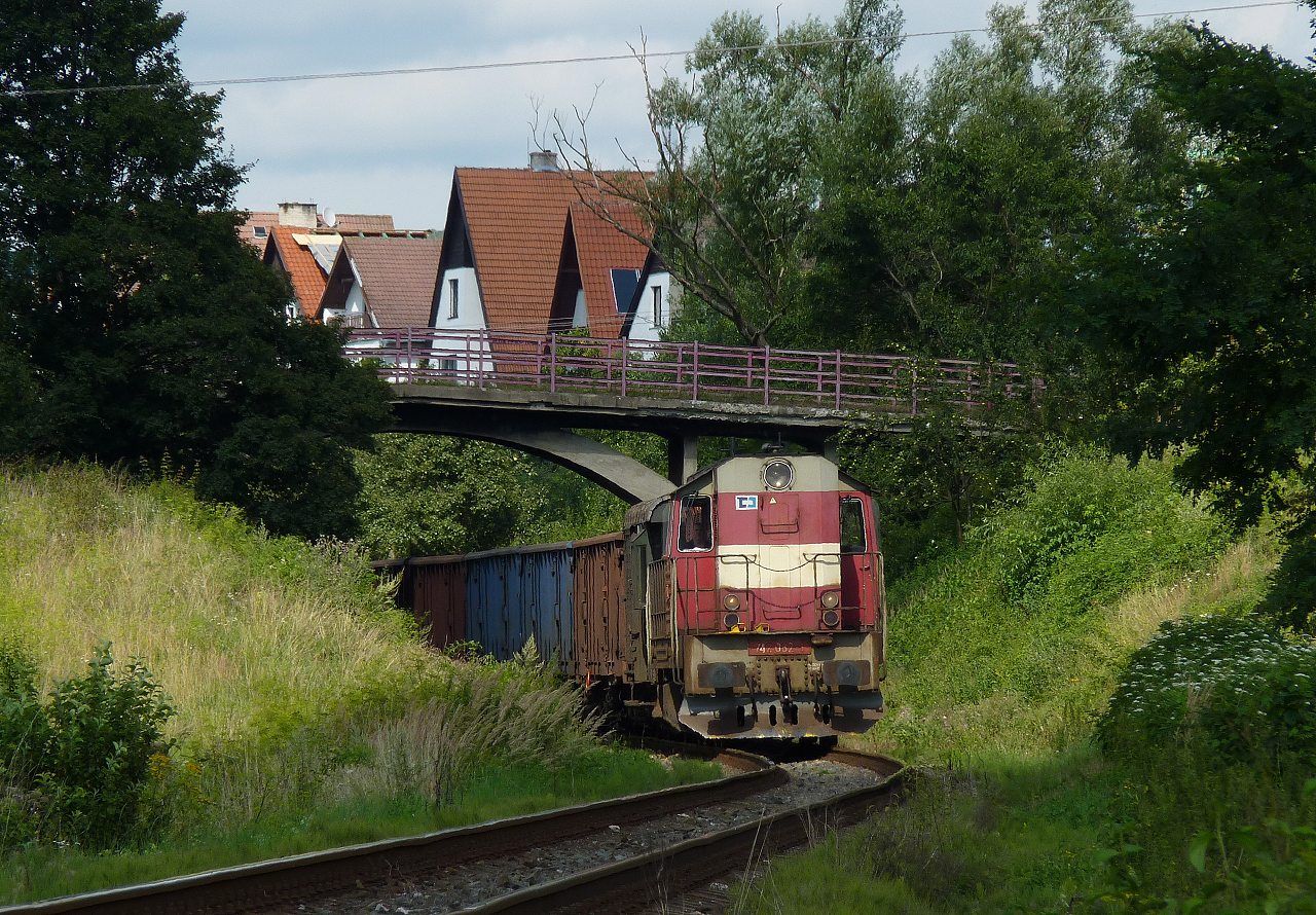 742.082, Bylnice, Mn 80101/1, 9.8.2010, foto:Vojtch Gek