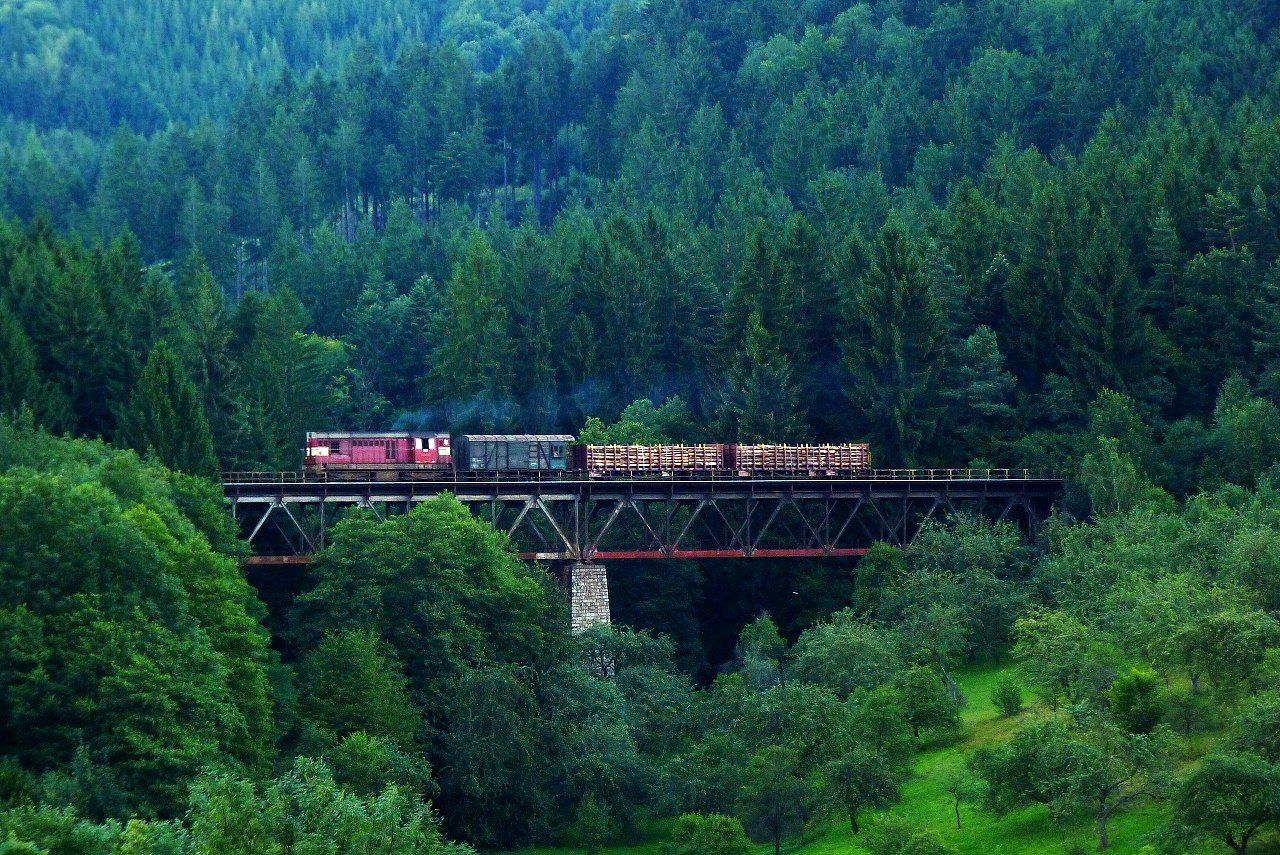 742.082, Valask Klobouky (viadukt Den), Mn 81000/1, 9.8.2010, foto:Vojtch Gek