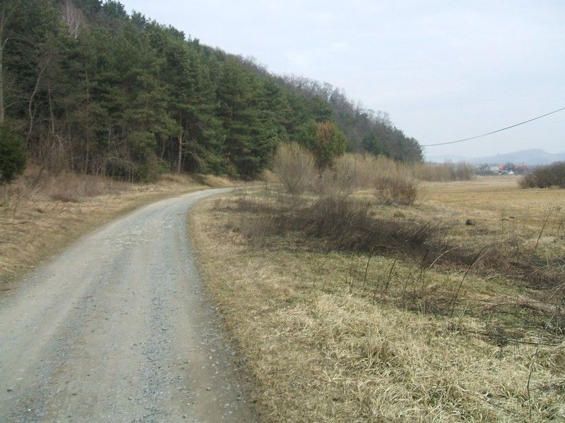 Cesta zaala mierne stpa , tra ila pravdepodobne dole pod cestou