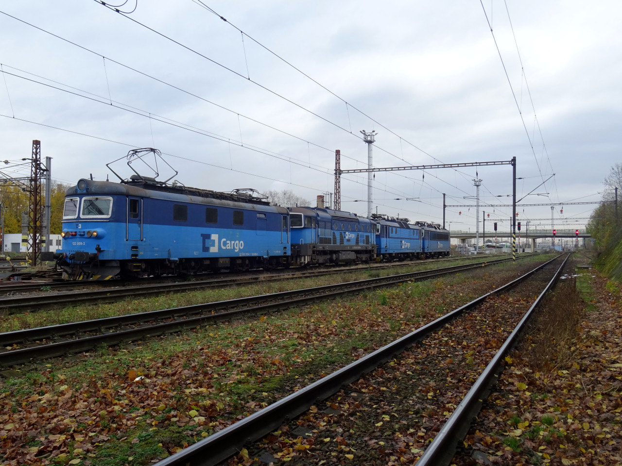 363 258 + 363 217 + 753 754 + 123 009 Lovosice 21.11.2023