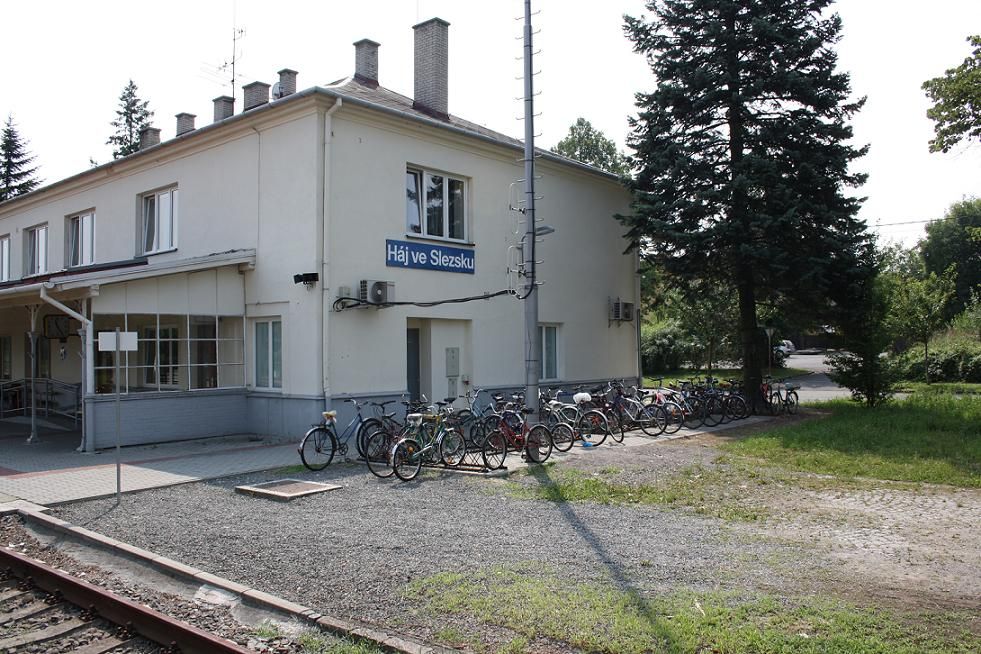 Bike and Train