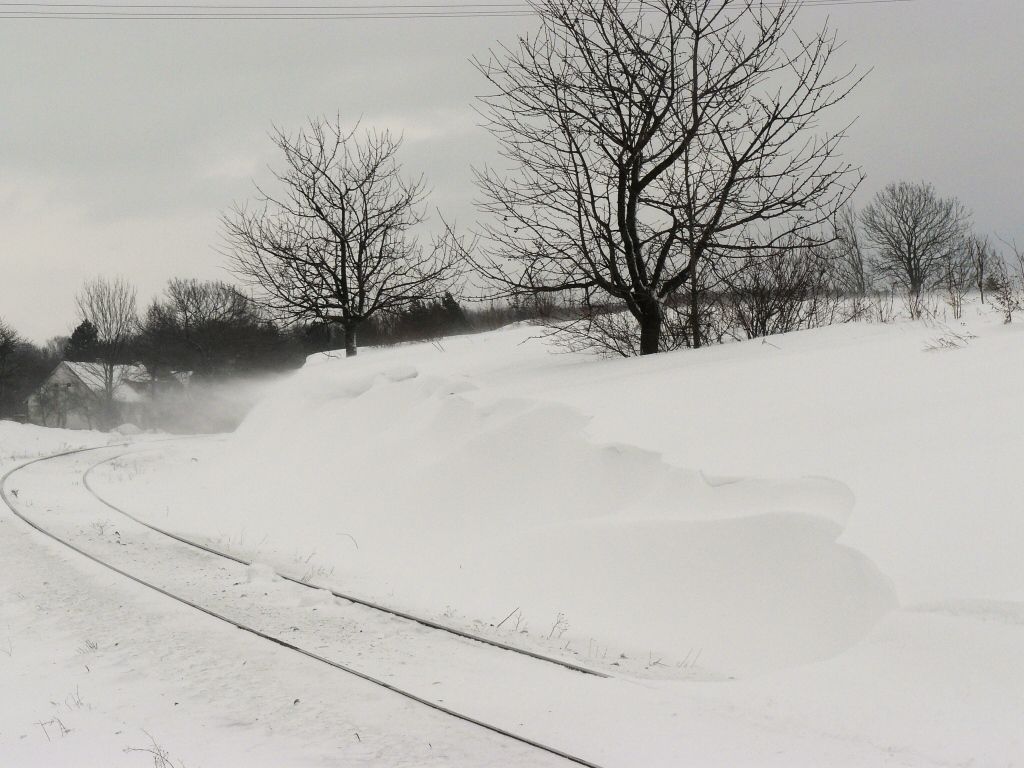 Jankovick zvje v zezu(3.2.2010,foto:M.Nesrsta)