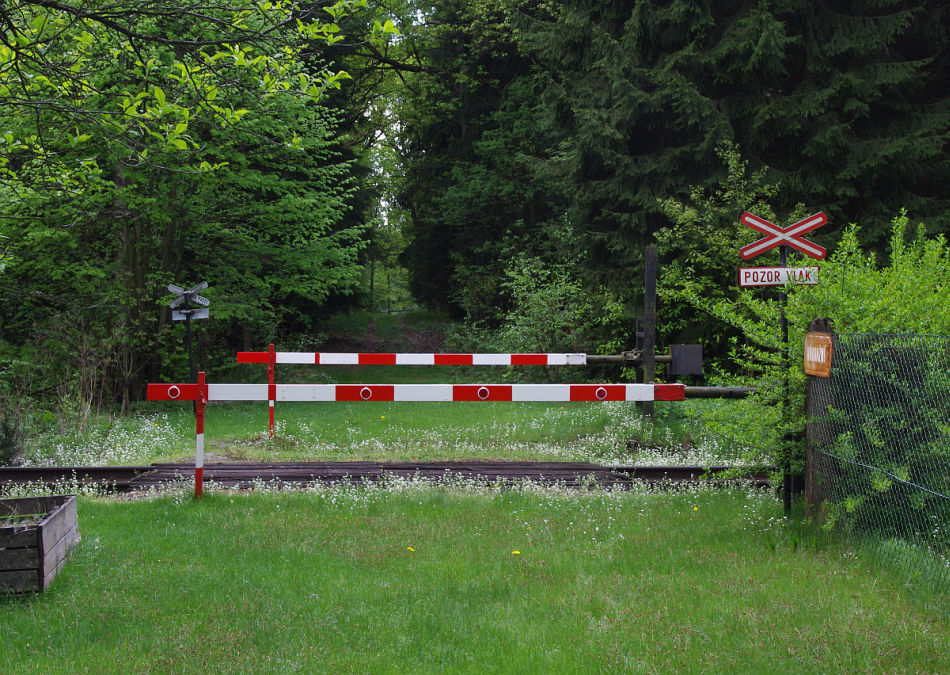 Tebechovice pod Orebem  Petrovice nad Orlic, km 44.688, kvten 2012