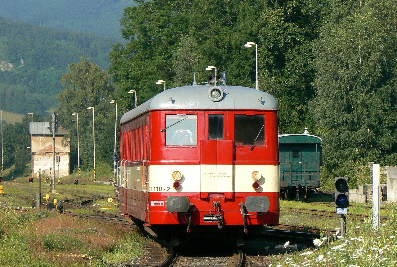 831.110 , Lipov Lzn