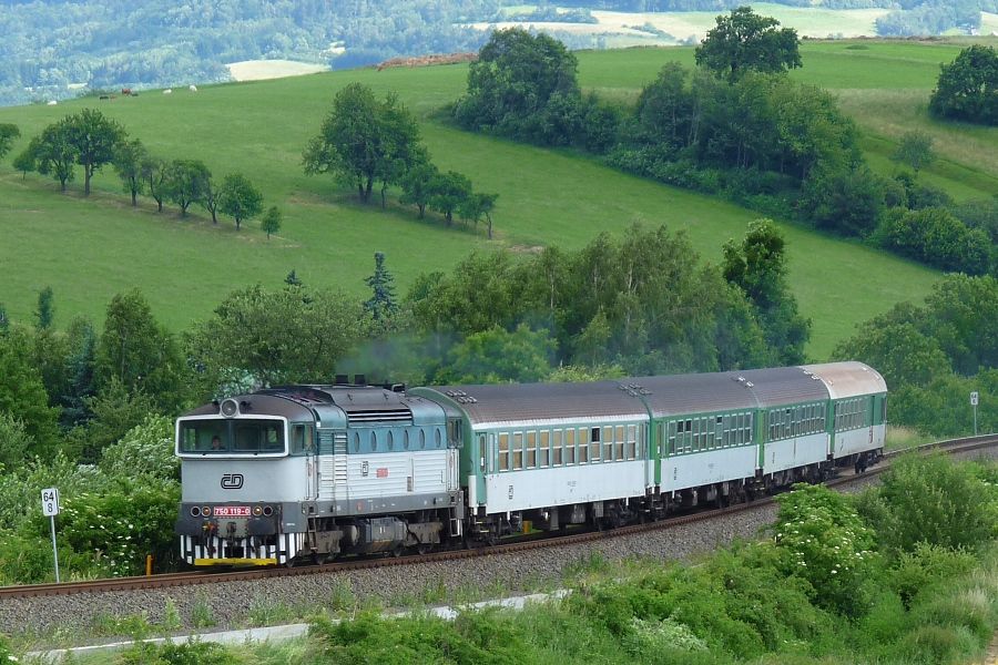 750 119-0, Krhov, 23.6.2010, foto: Dobi Ji