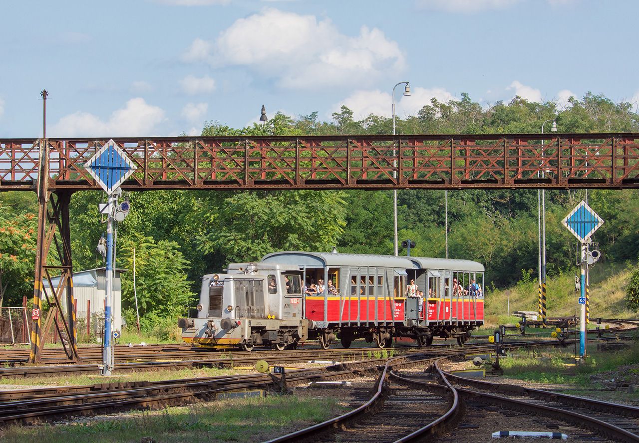 703.625, Hruovany nad Jeviovkou, 21.8.2021