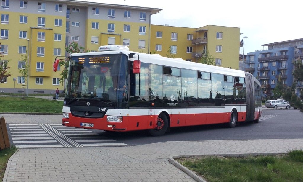 6749 Sdlit akovice