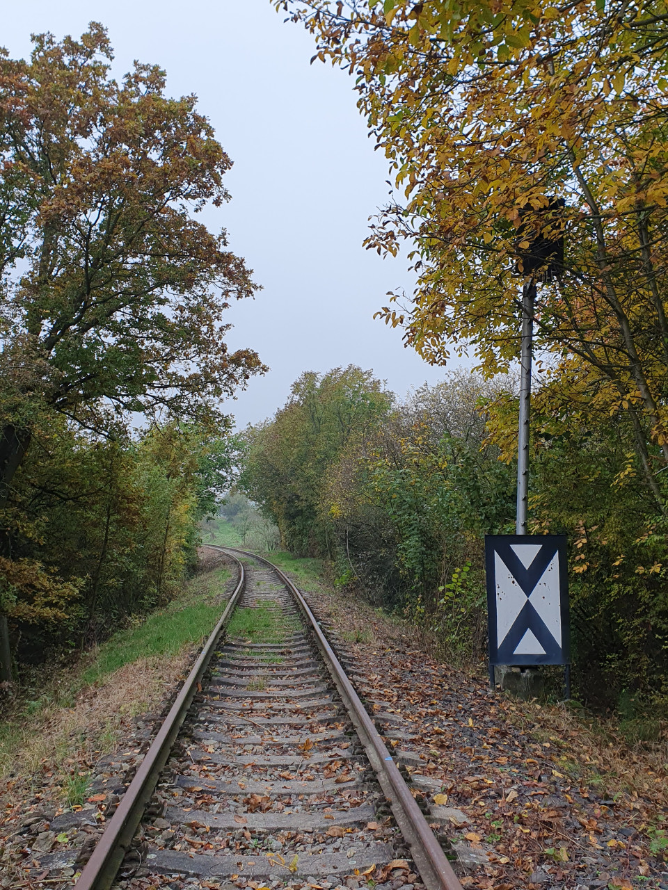 Chotim 22.10.2024- pedvst vjezdu od Dobkoviek jedin peila. 