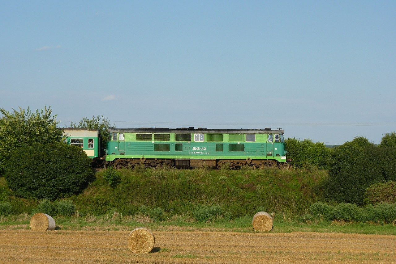 SU45-241, Gorzyn, 10.8.2013, foto:Vojtch Gek