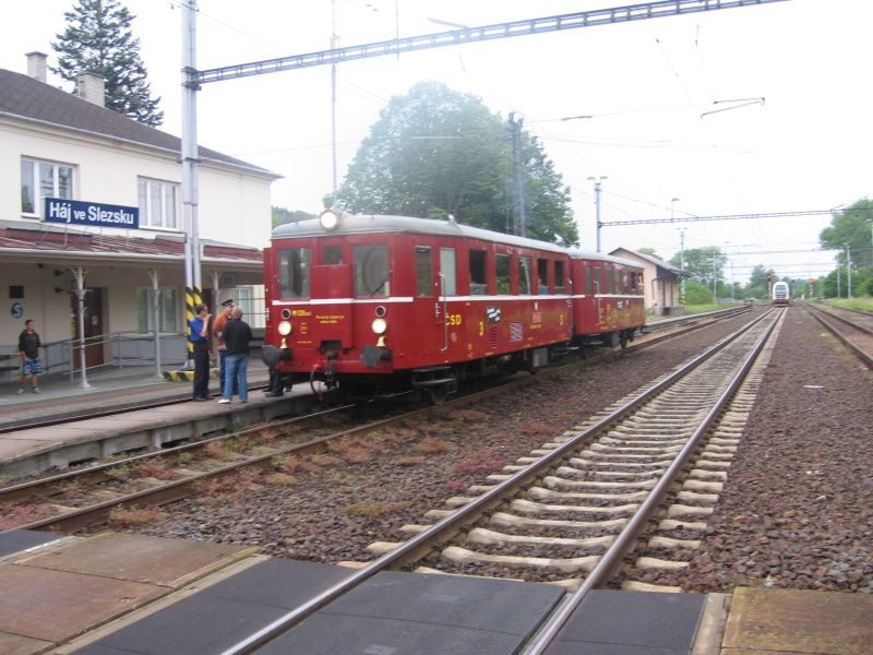 M131.1454 v Hji ve Slezsku.