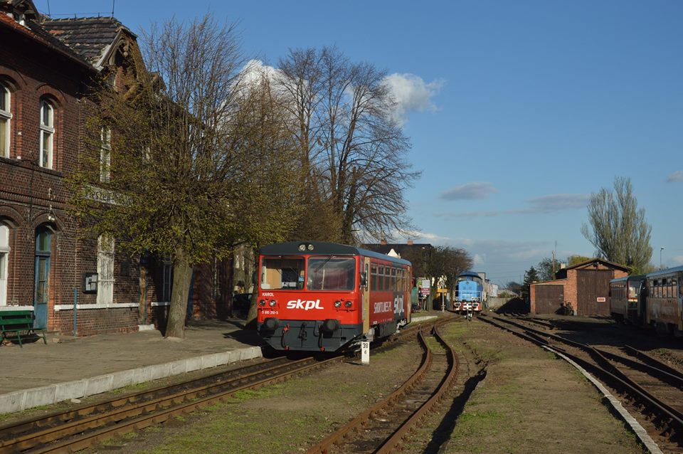 810.210, Pleszew miasto, 11.4.2017, autor> Wojciech Gasek