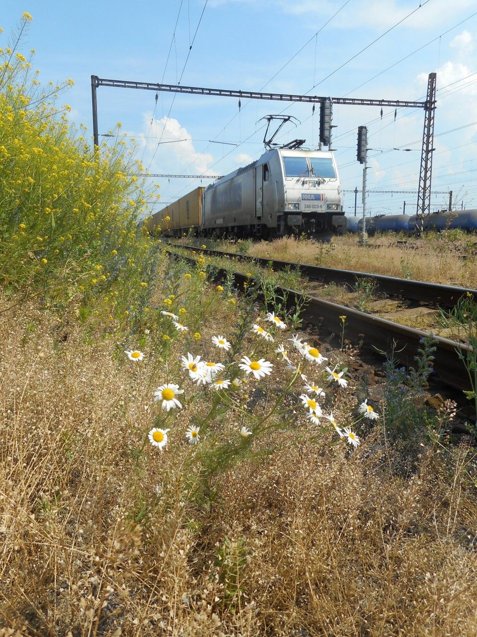 386 003-8 v lovosickm ranru, dne 28.5.2018.