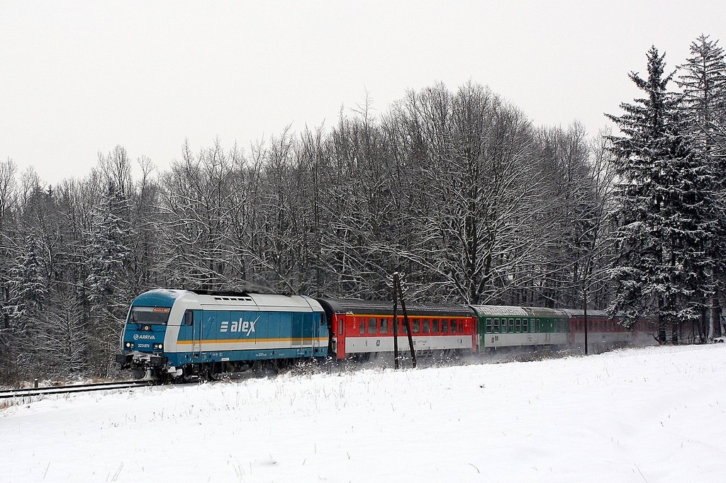 R 354, Havlovice, 10.1.2010