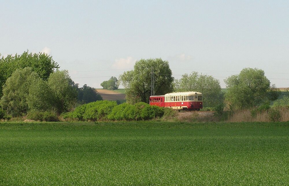 MOs 003, Singrovka se bl k fotografovi,jeho trplivost zkou slunko za mraky :-)