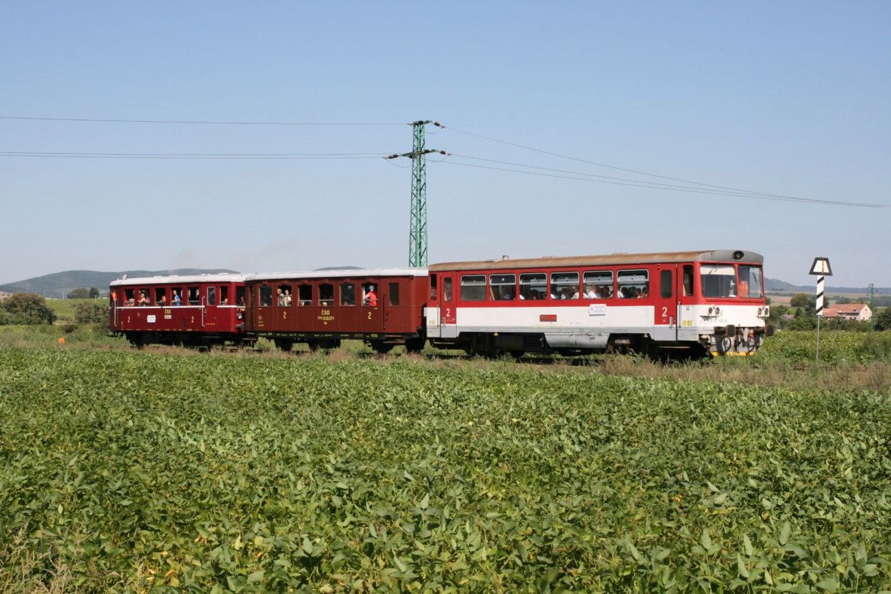 Vrbov podruh