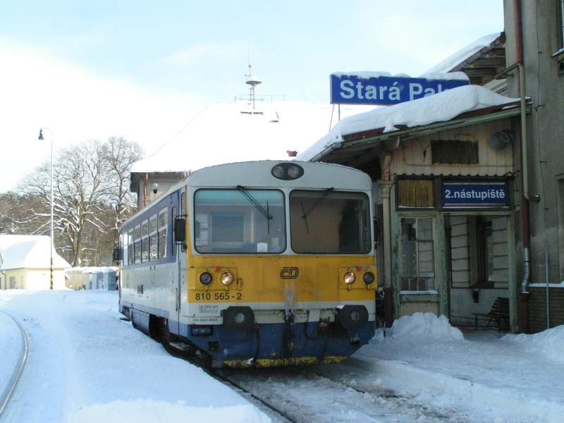 810.565_Star Paka_5.2.2010