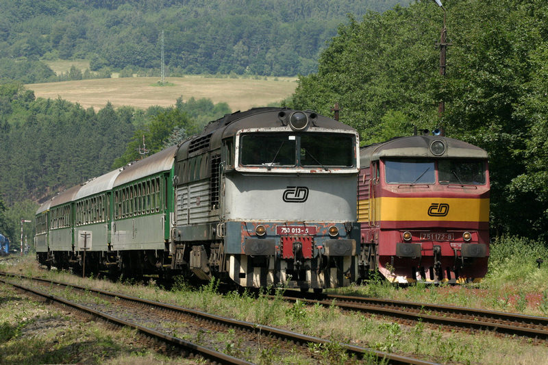  Pertejn  24.6.2005  R695