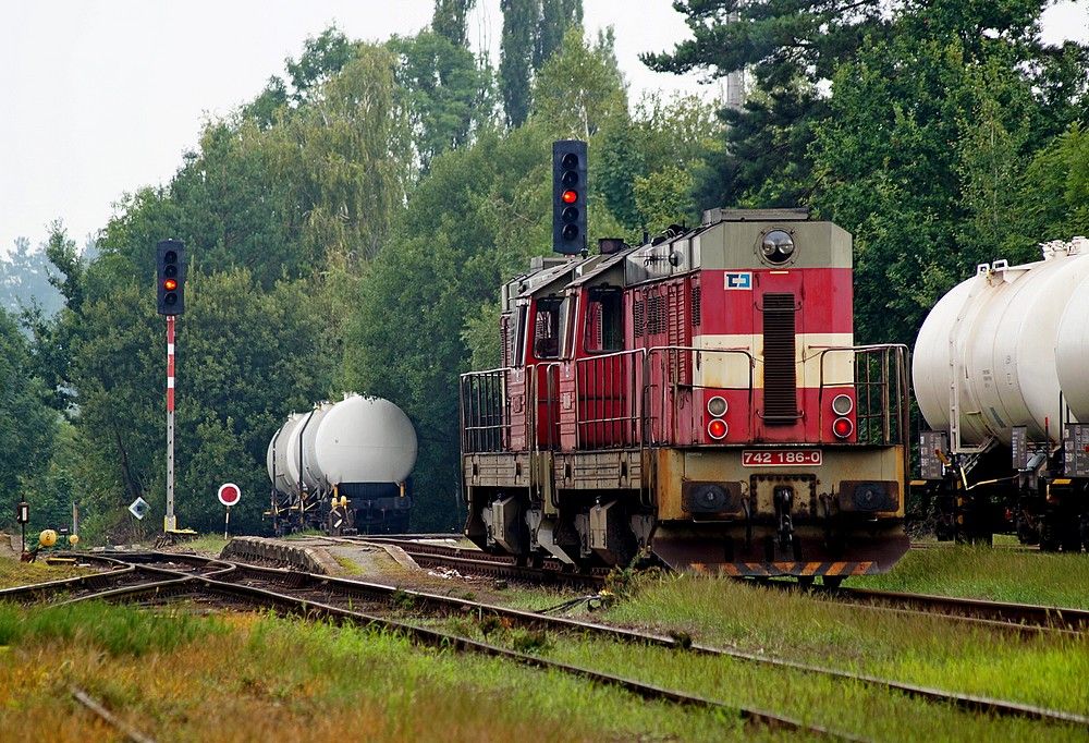 742 186 + 742 379, Kostelec u H.Mstce 6.8.2014