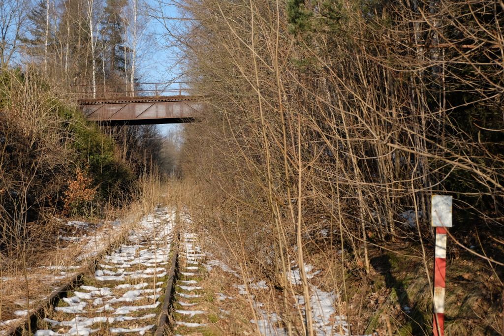 Pohled od silnice II/352 smr r nad Szavou, Szava u ru, 21. 2. 2015