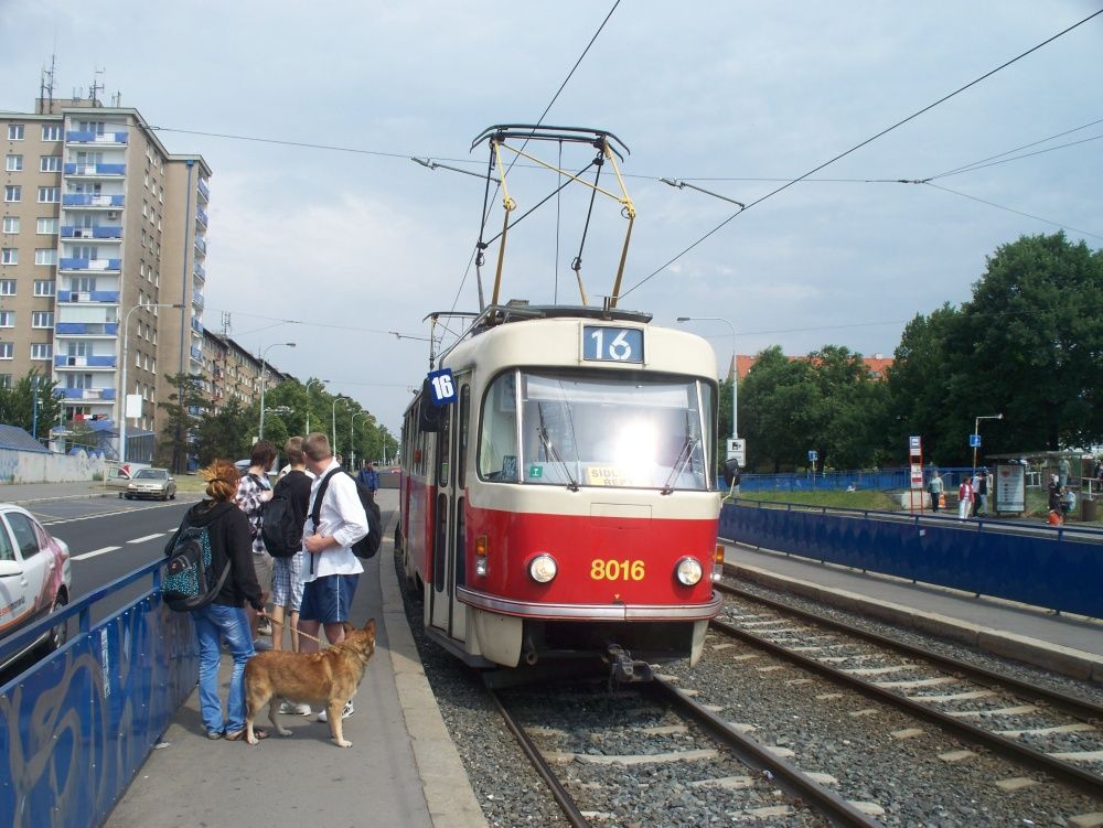 8016 (16) - Hloubtn (31.5.2012)