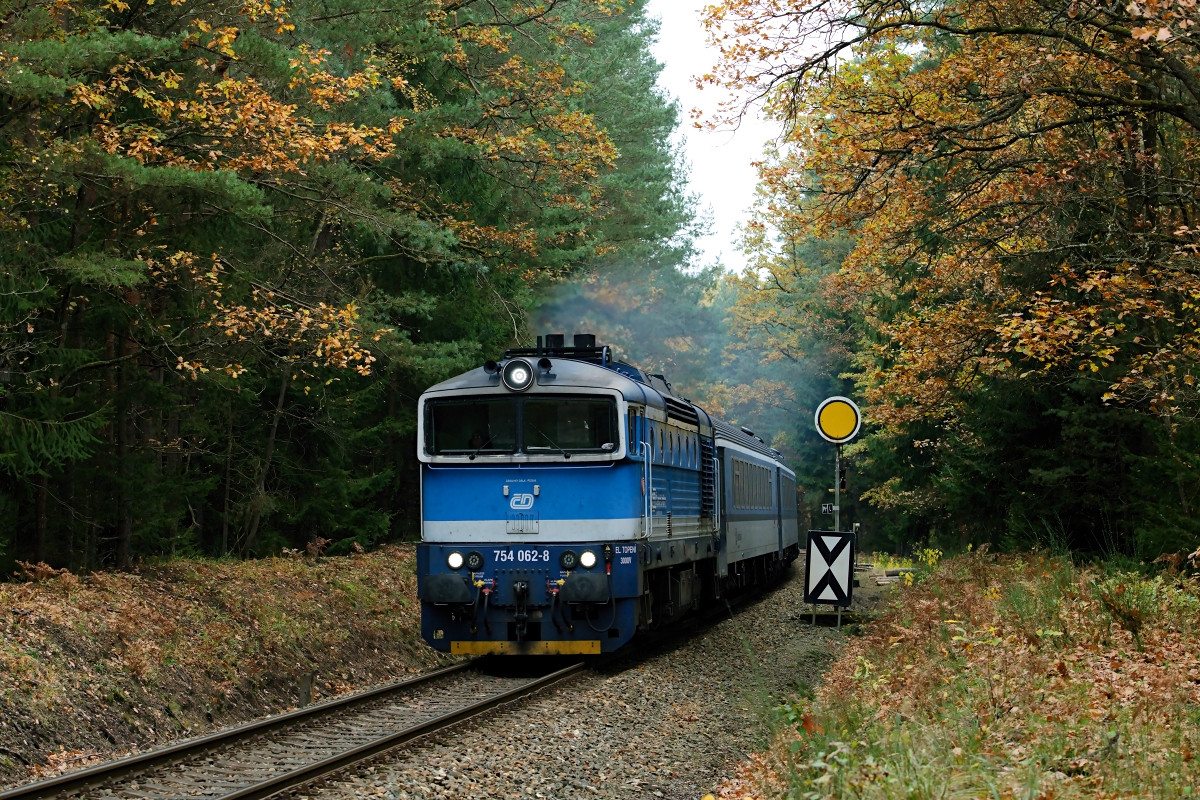 754.062 s R 321 u pedvsti do st. Majdalna dne 27.10.2024