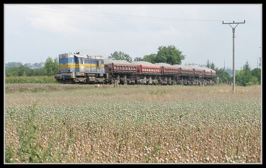 740.575, Velk Bystice - Bystrovany, 25.7.2012