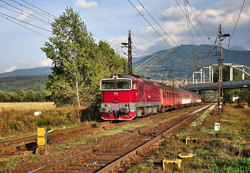 754.054, Zr1844, Varn