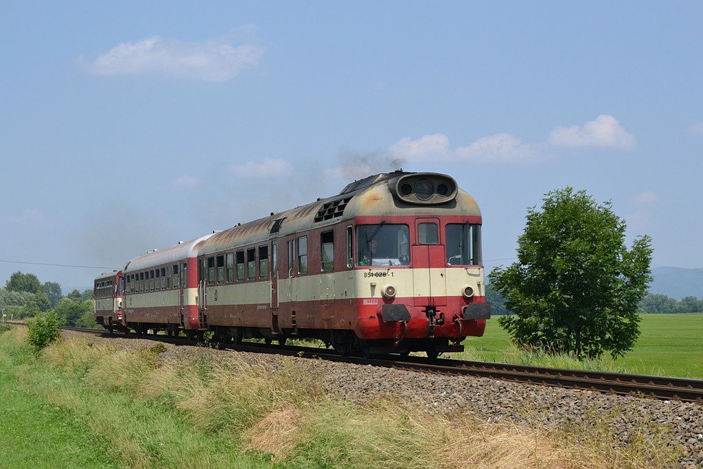 Hydra na os 3632, 20. 6. 2013, Hluovice - Olomouc hl. n., v zvsu 810.292