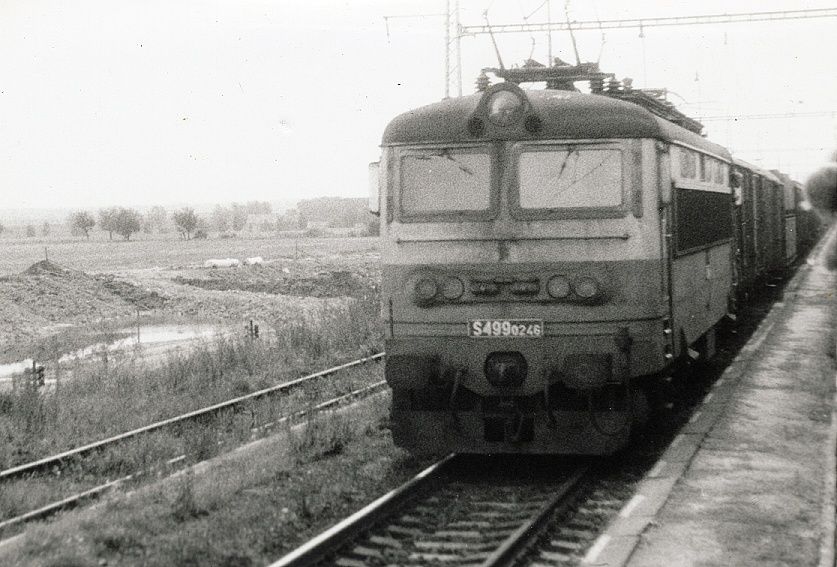 S499.0246