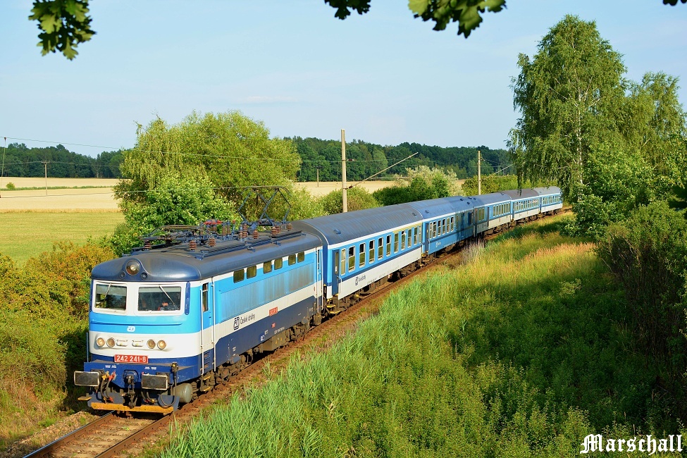 242.241-8_-_18.07.2015-_-DKV PLZE - PJ esk Budjovice_Hlubok nad Vltavou - Zliv R 662 Petr Vok.