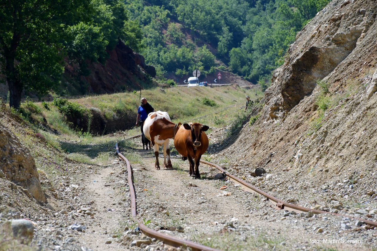 Tra Elbasan - Pogradec 6/2021