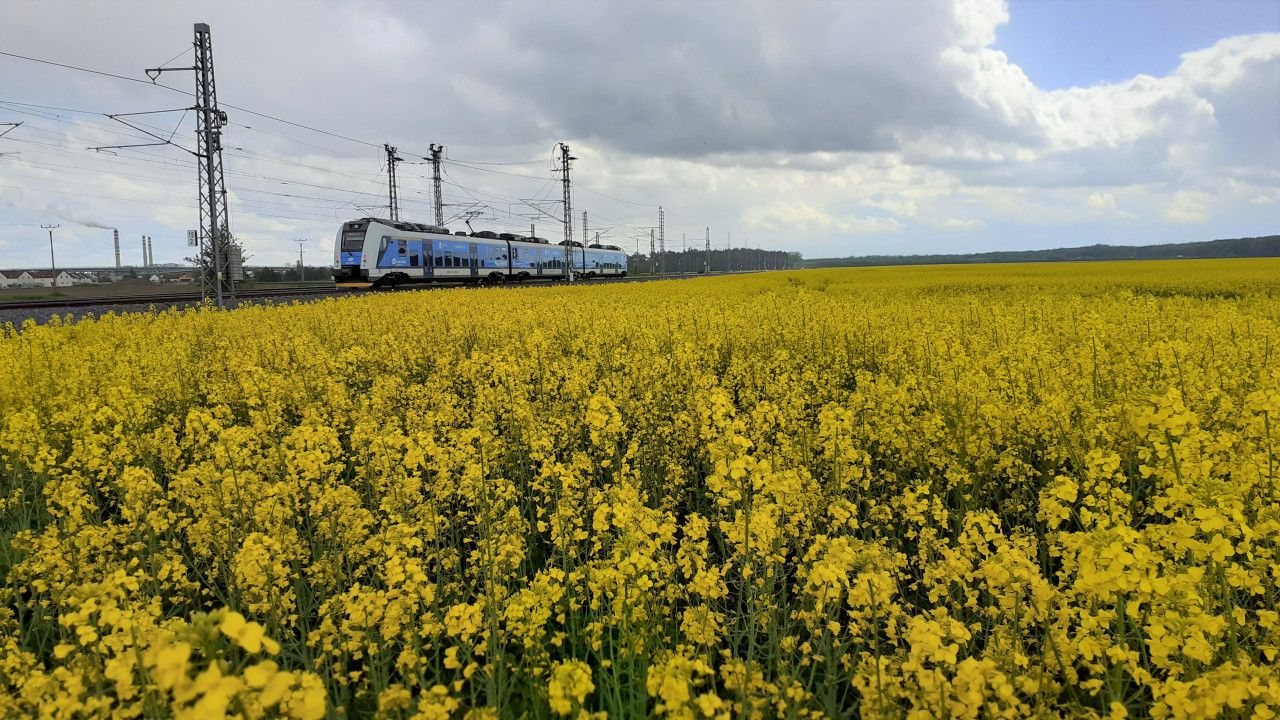 Z Opatovic nad Labem do eperky m 16.5.2021 Os 6247