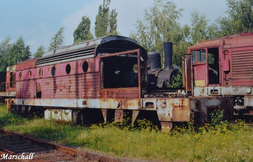 T 478.3049_-_08.08.1999-_-DKV VALASK MEZI_depo.