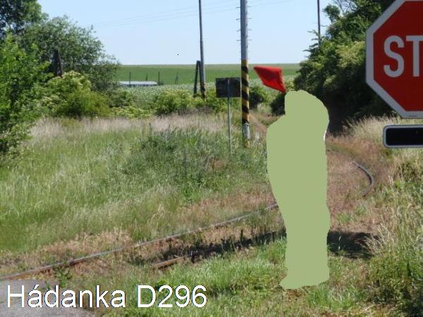 Hdanka D296