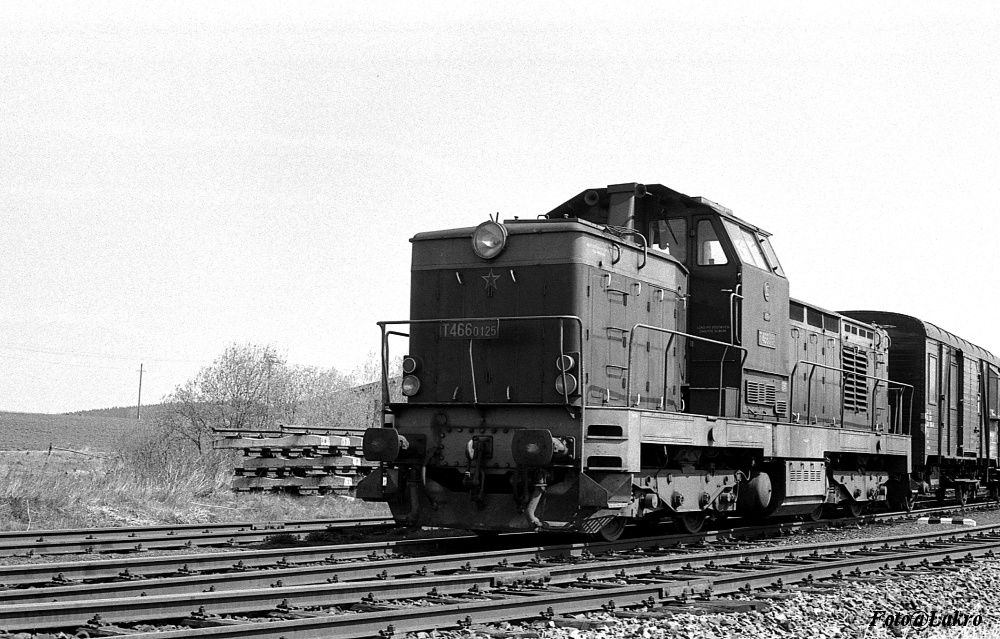 T466.0125 Che 6.5.1981