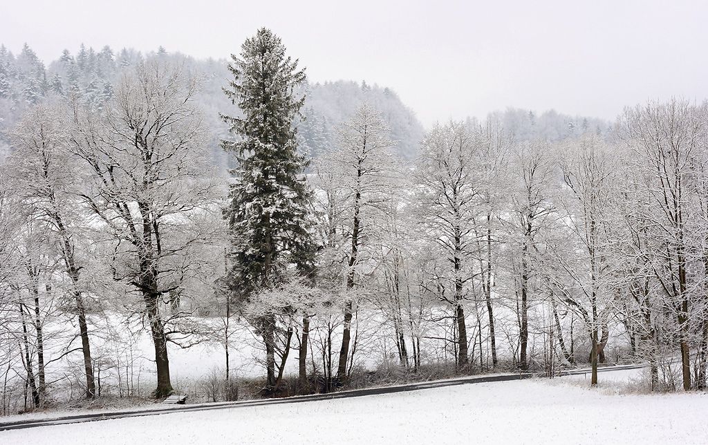 Kunice pod Ondejnkem, 18.1.2015