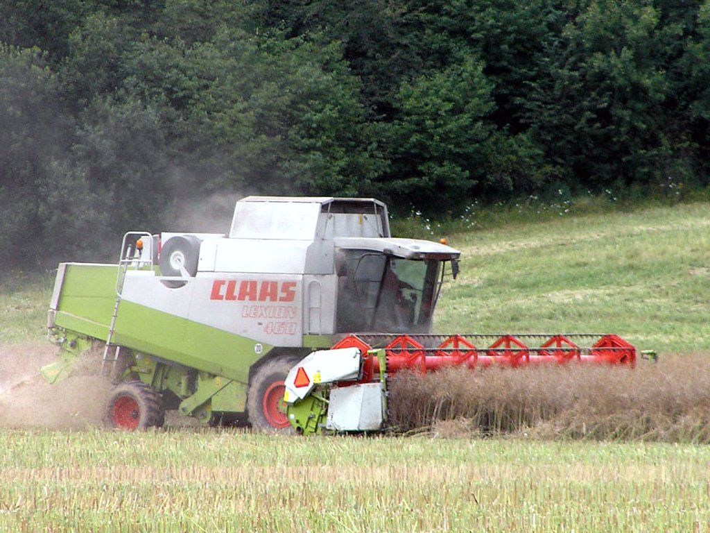 Class Lexion 460 - 31. 7. 2009 - pole u Slavtna (Psen)